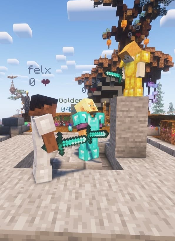 Players Fighting in ArkFlame Network