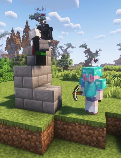 Players Playing ArkFlame Network
